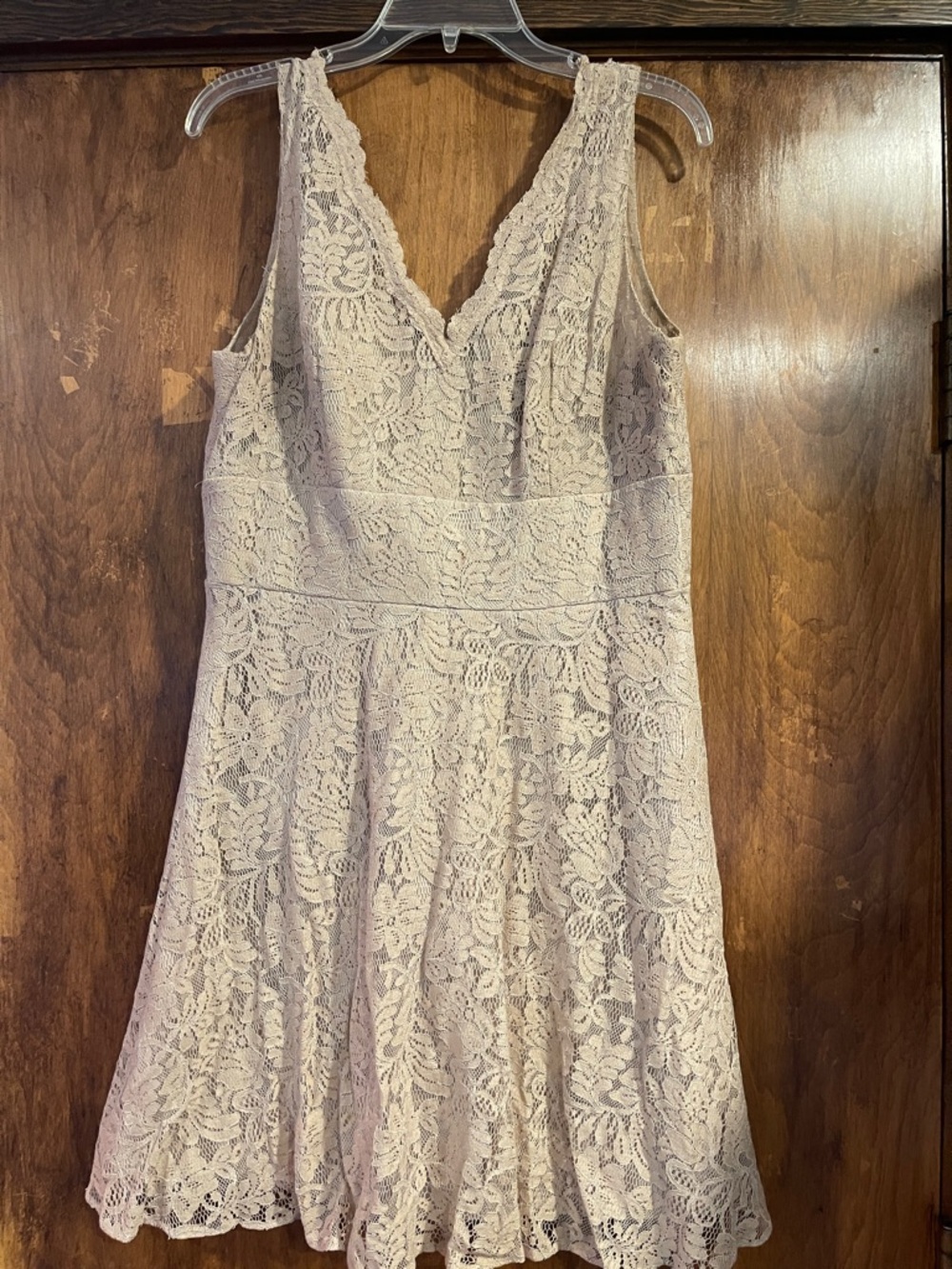 Sleeveless V-Neck Lace Fit-and-Flare Mini Dress in Light Taupe